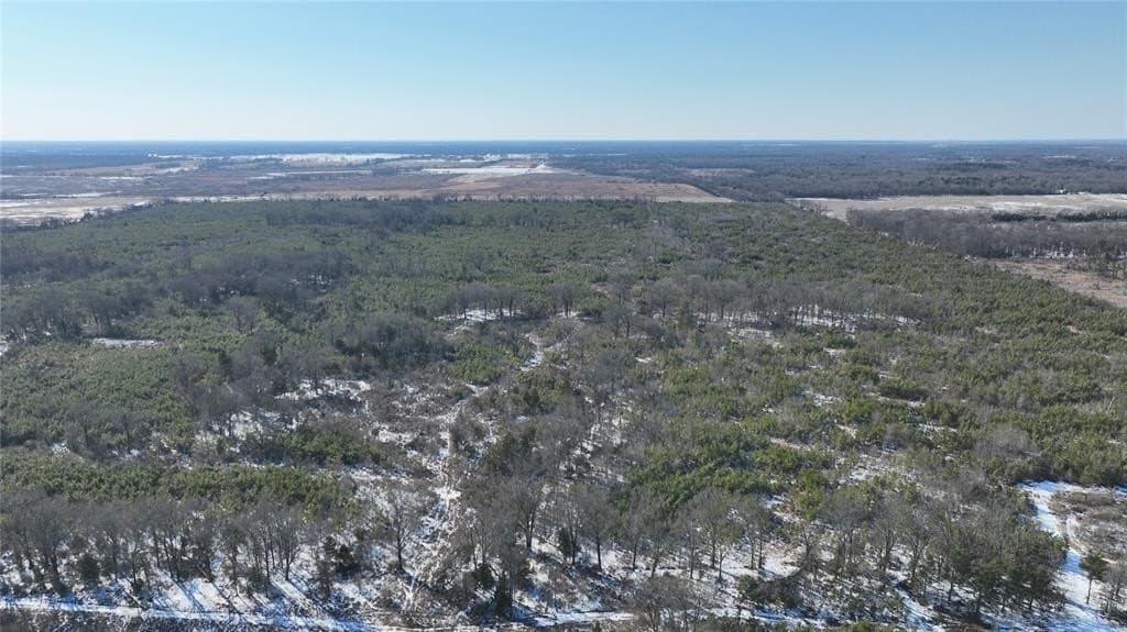80.65 acres in Red River County - photo 4