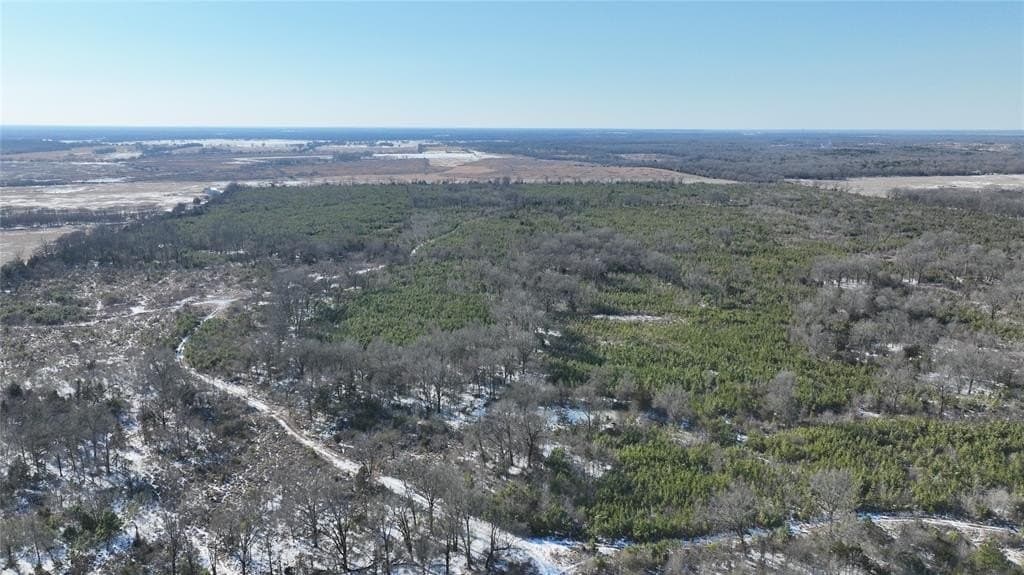 80.65 acres in Red River County - photo 7