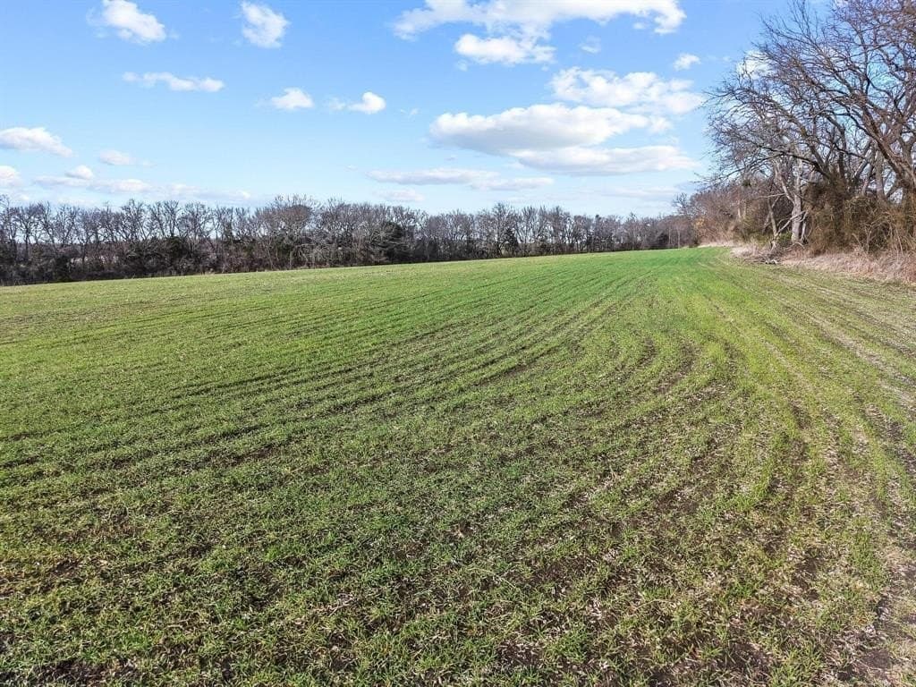 23.06 acres in Grayson County - photo 13