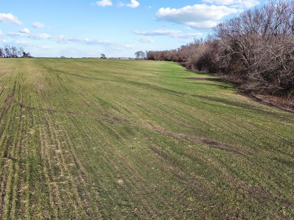 23.06 acres in Grayson County - photo 10