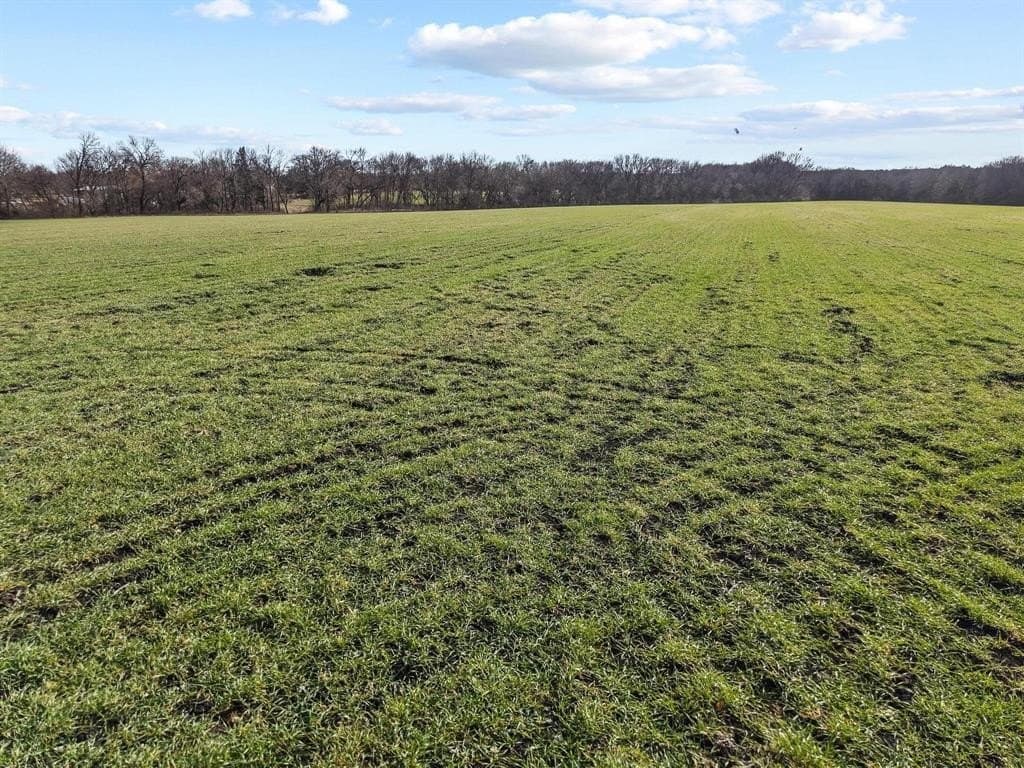 23.06 acres in Grayson County - photo 9