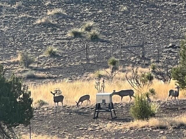 50 acres in Brewster County - photo 50