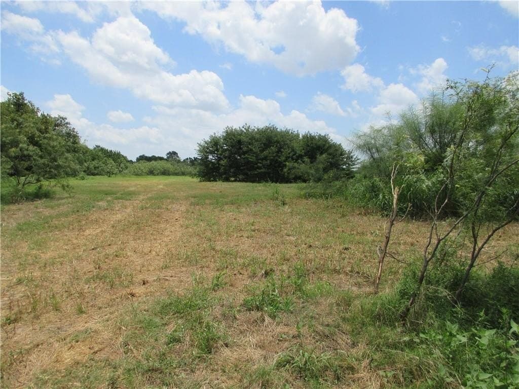 61.41 acres in Falls County - photo 8