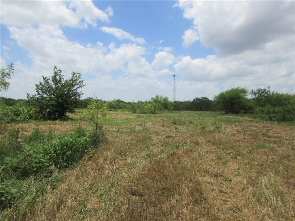 61.41 acres in Falls County - photo 7