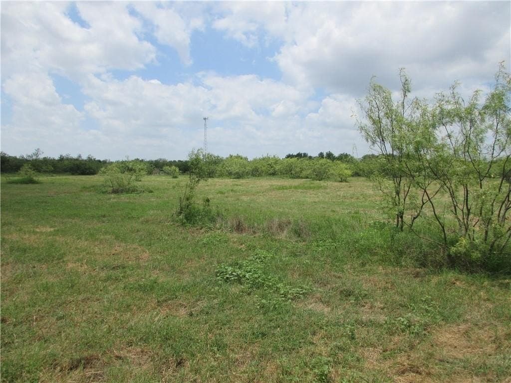 61.41 acres in Falls County - photo 9