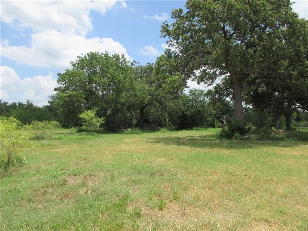 61.41 acres in Falls County - photo 2