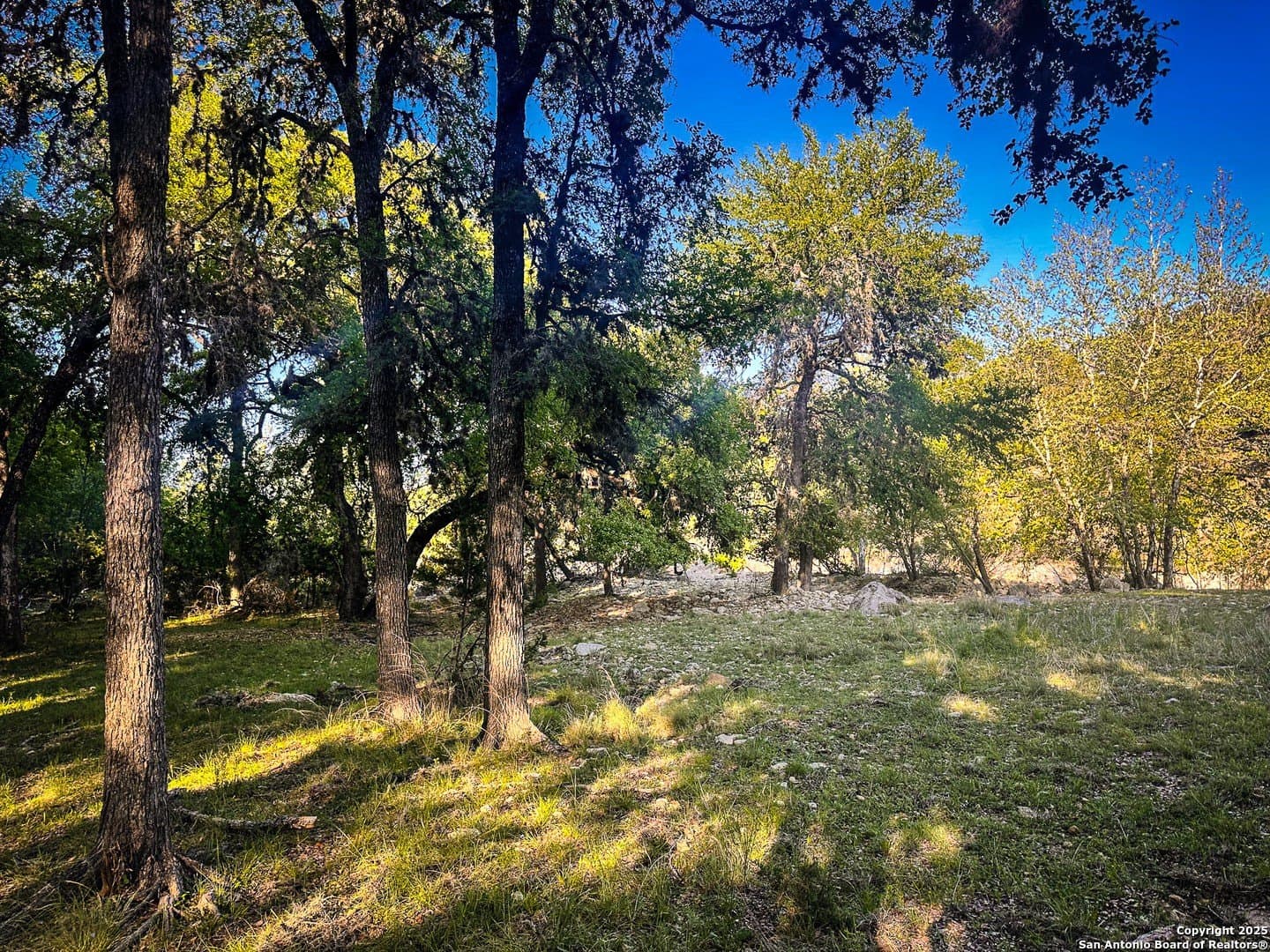 0.24 acres in Bandera County - photo 5
