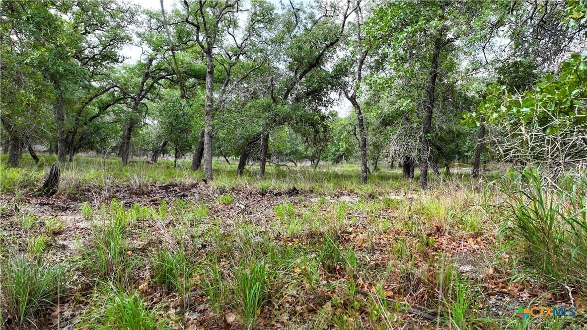 20 acres in Guadalupe County - photo 9