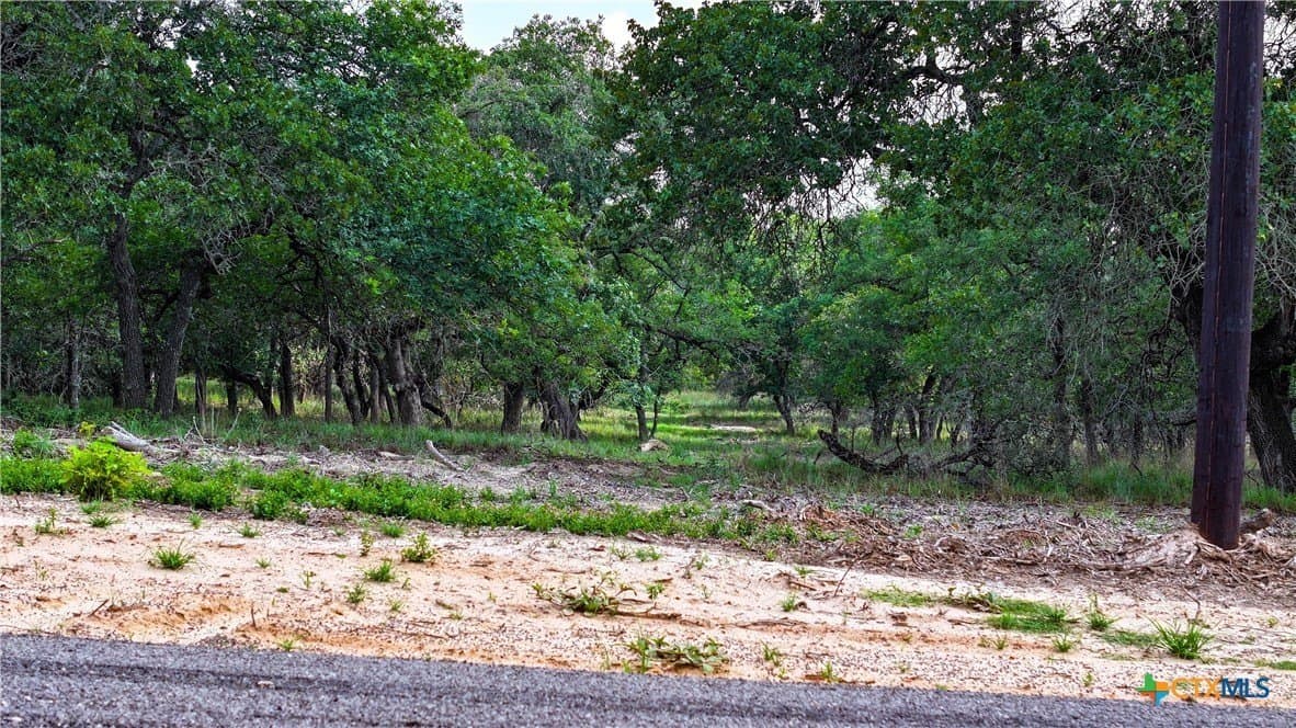 20 acres in Guadalupe County - photo 10