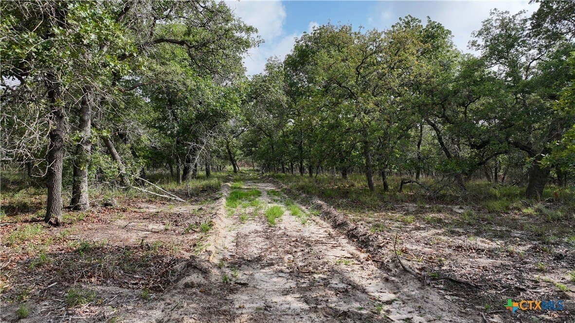 20 acres in Guadalupe County - photo 7