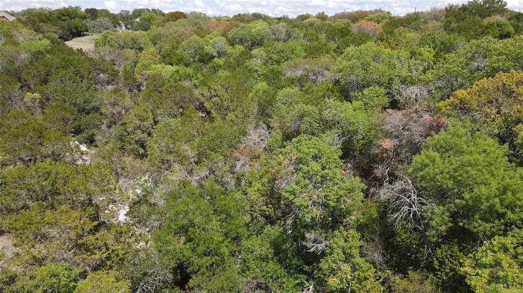 0.47 acres in Hill County - photo 9