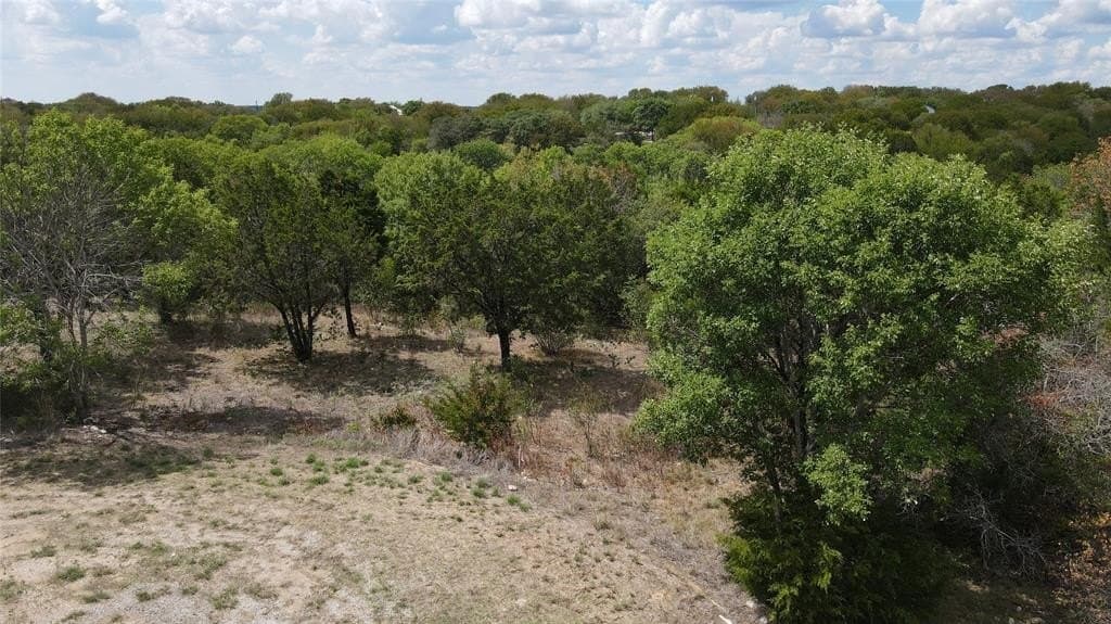 0.47 acres in Hill County - photo 3
