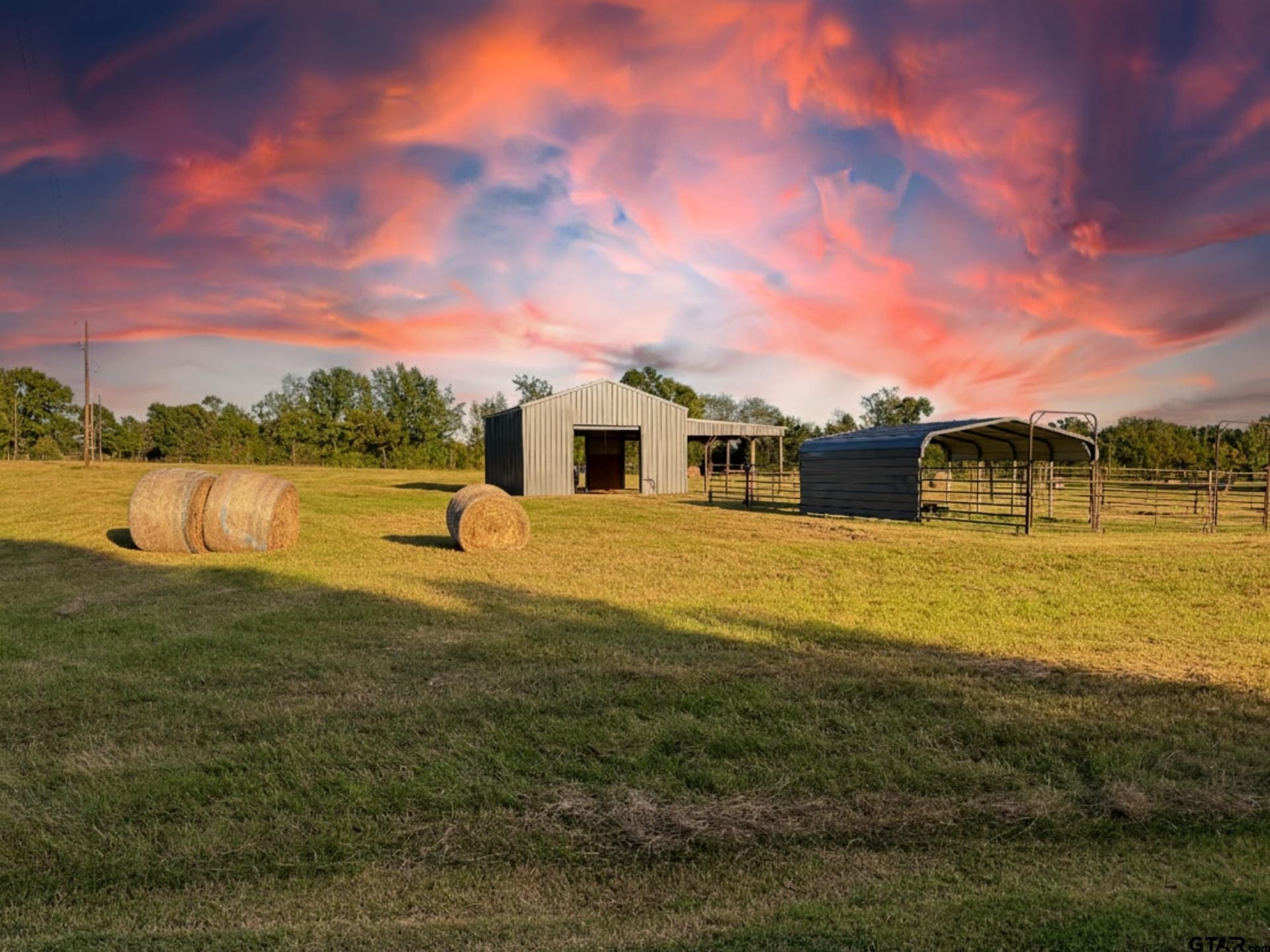 54.6 acres in Wood County - photo 11