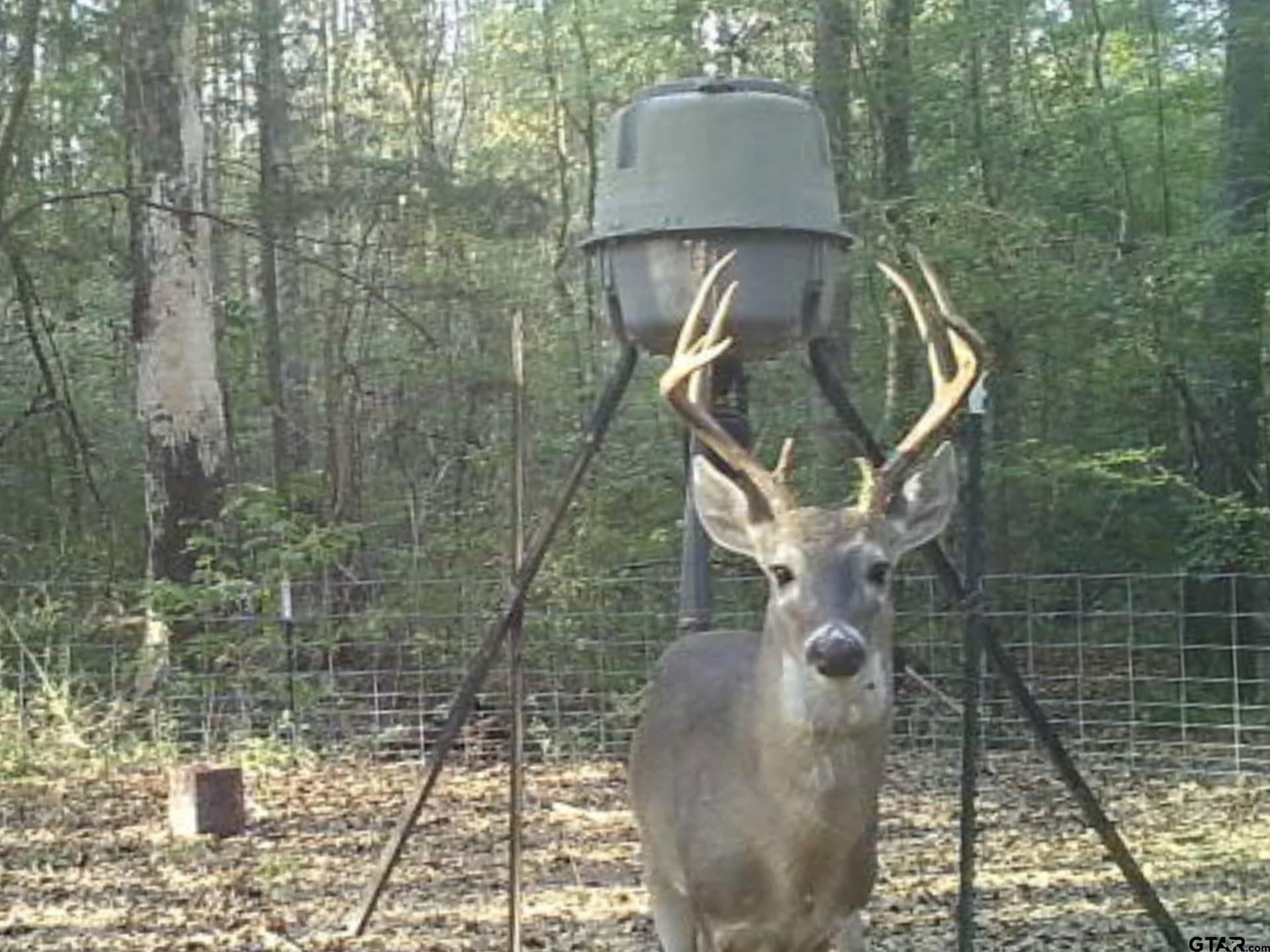 54.6 acres in Wood County - photo 2