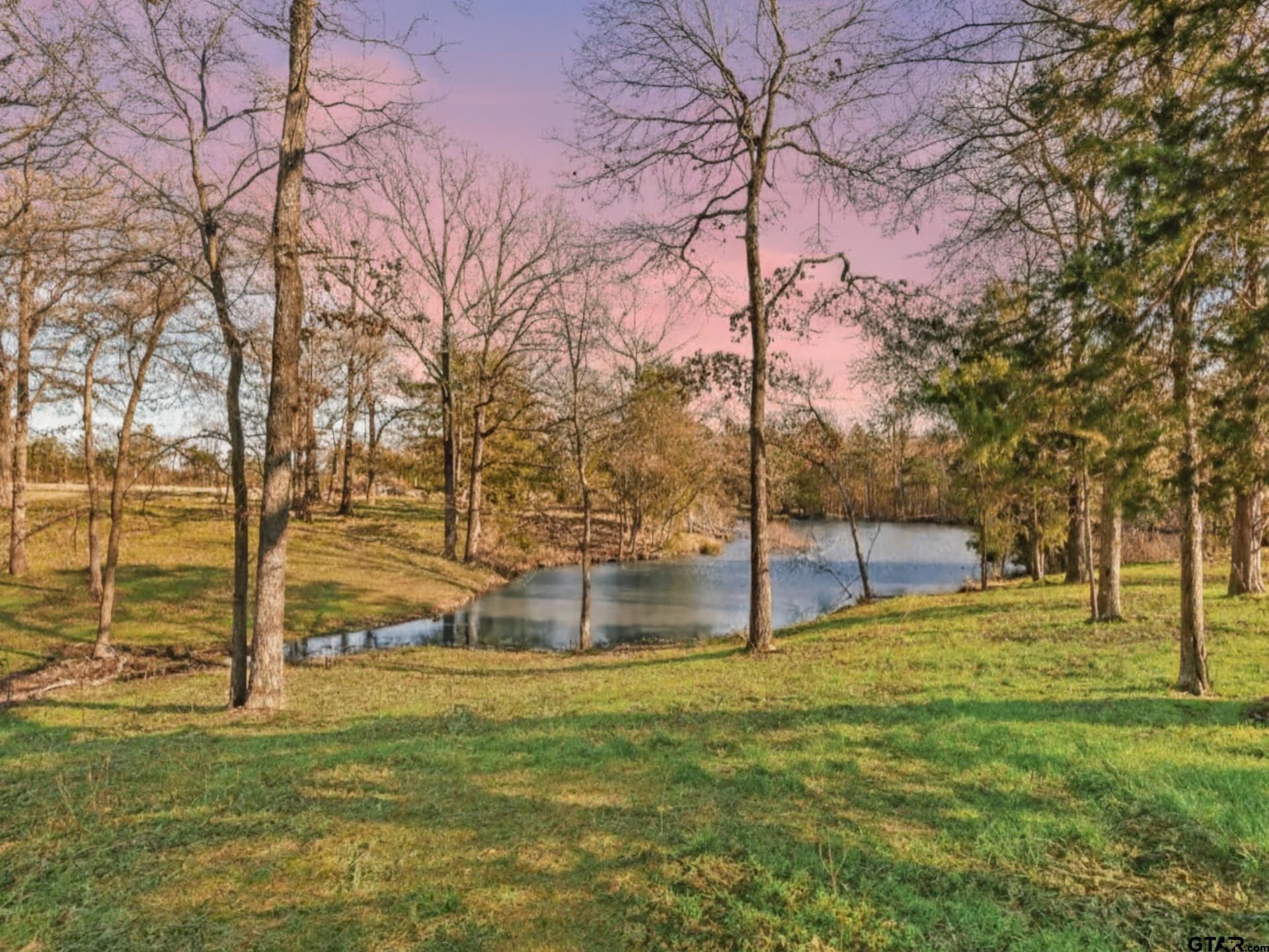 54.6 acres in Wood County - photo 8