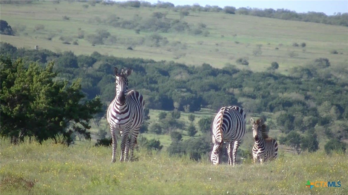 367 acres in Burnet County - photo 26