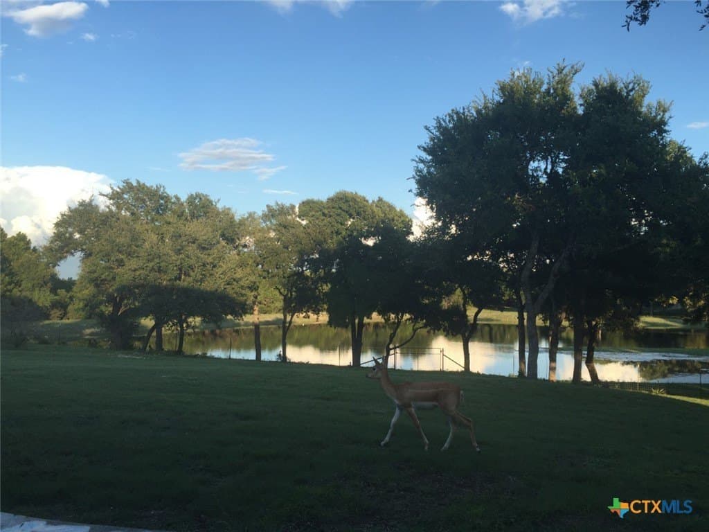 367 acres in Burnet County - photo 11