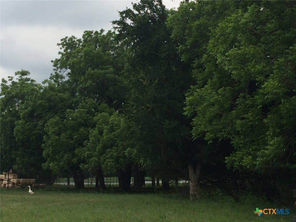 367 acres in Burnet County - photo 7