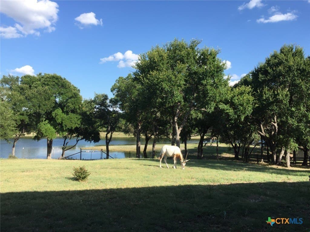 367 acres in Burnet County - photo 27