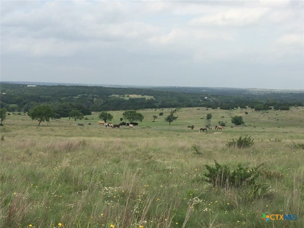 367 acres in Burnet County - photo 10