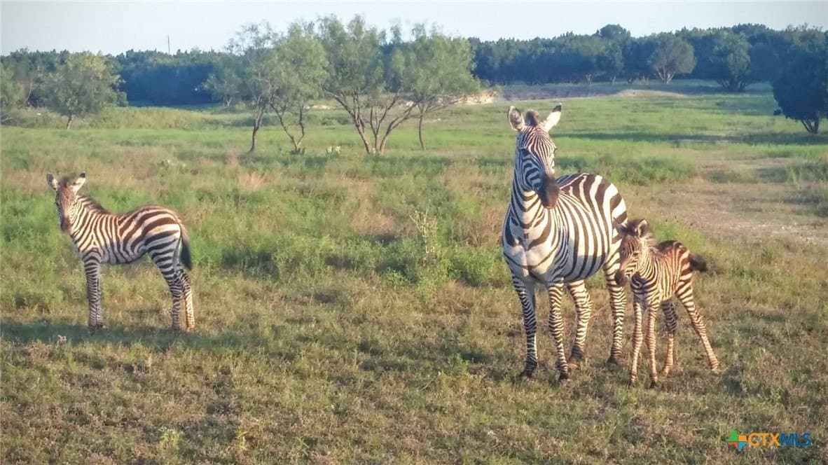 367 acres in Burnet County - photo 18