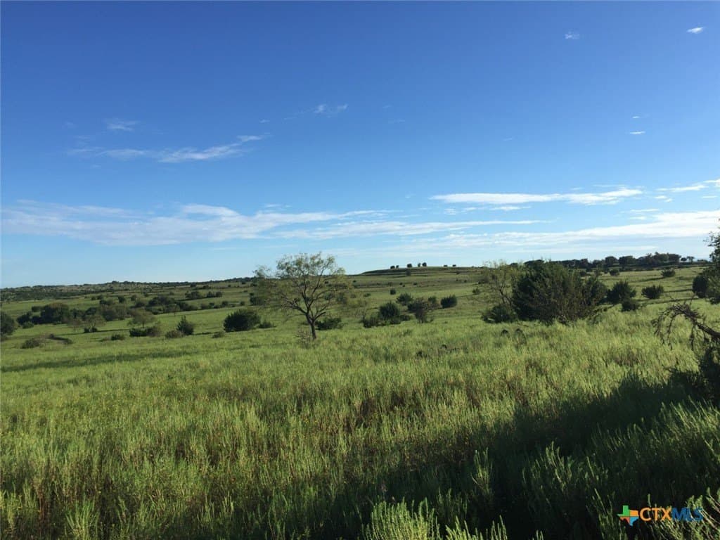 367 acres in Burnet County - photo 12