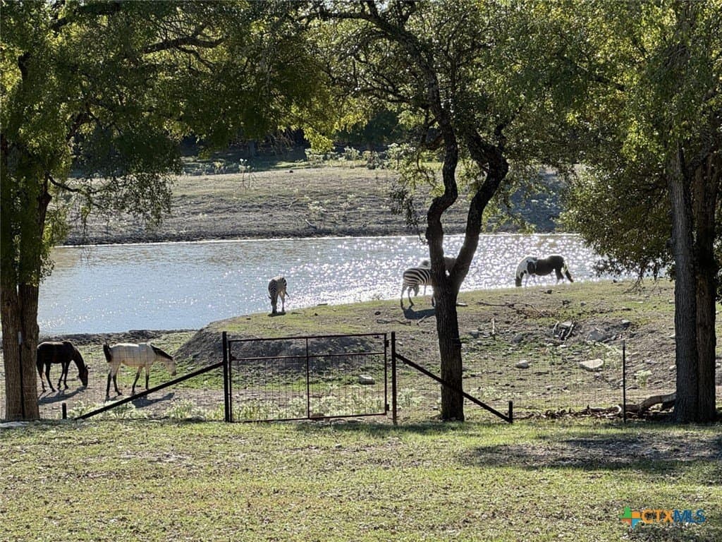 367 acres in Burnet County - photo 19