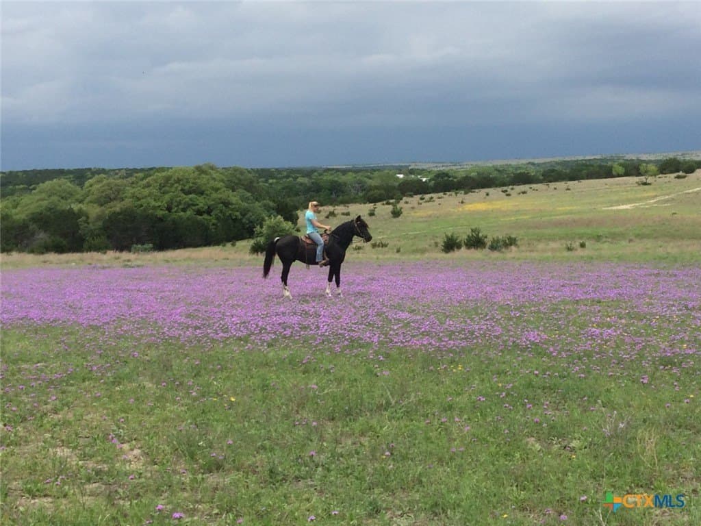 367 acres in Burnet County - photo 25