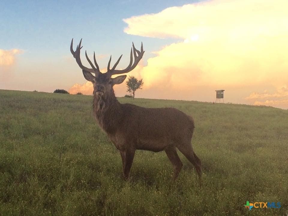 367 acres in Burnet County - photo 13