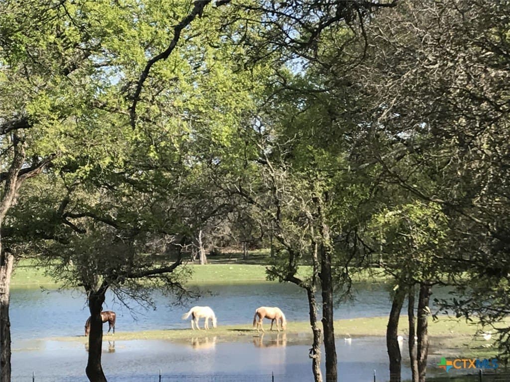 367 acres in Burnet County - photo 32