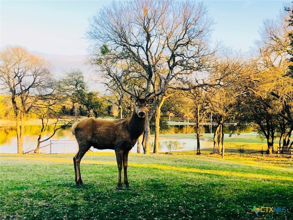 367 acres in Burnet County - photo 2