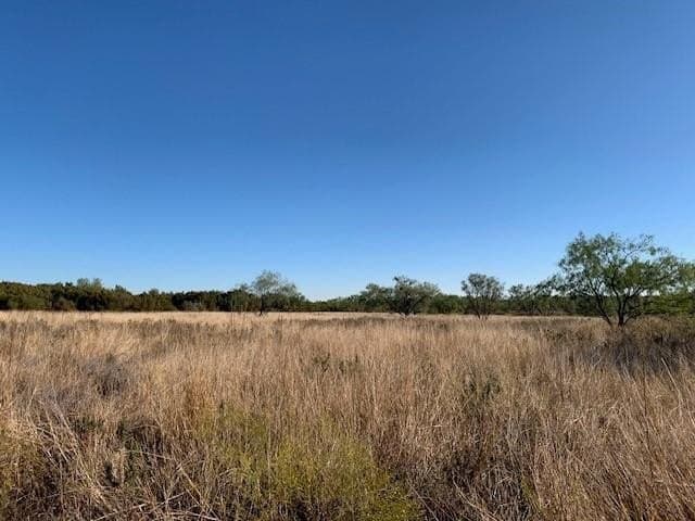 50.75 acres in Coke County - photo 88