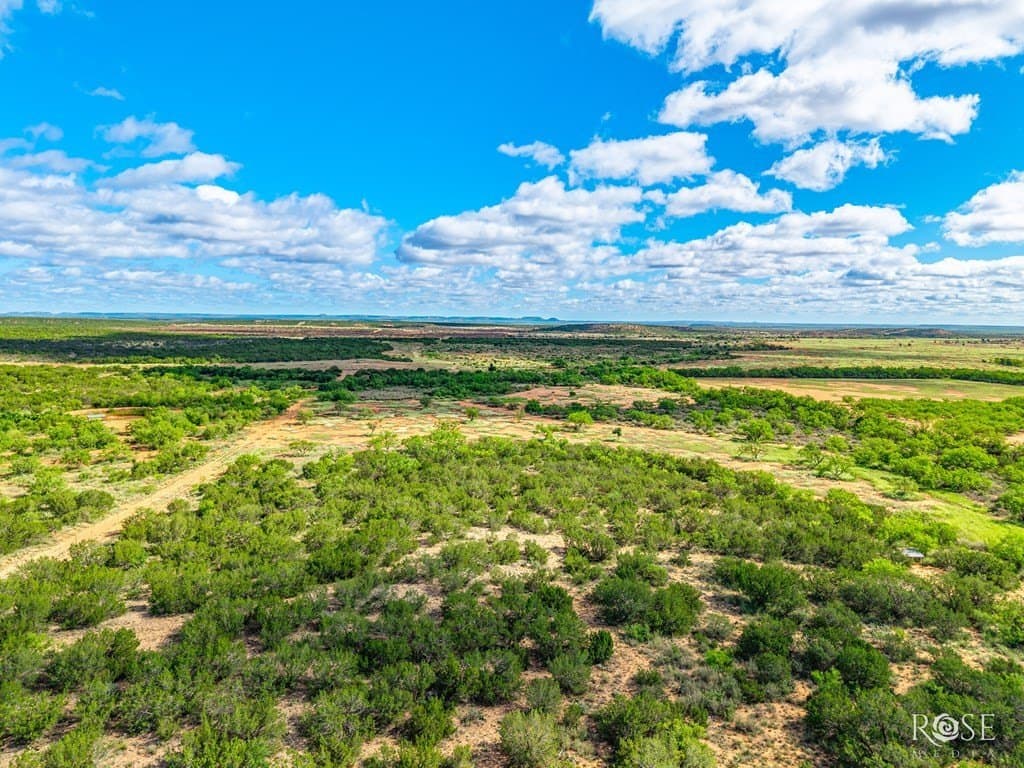 50.75 acres in Coke County - photo 40