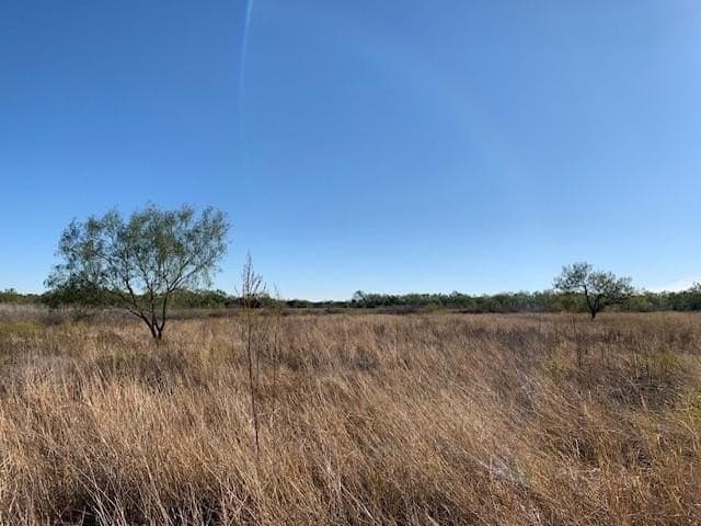50.75 acres in Coke County - photo 83
