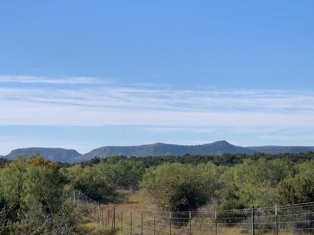 50.75 acres in Coke County - photo 85