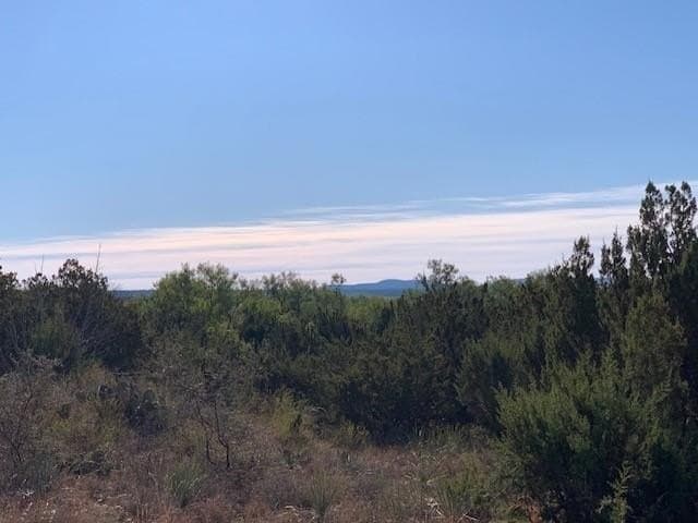 50.75 acres in Coke County - photo 84