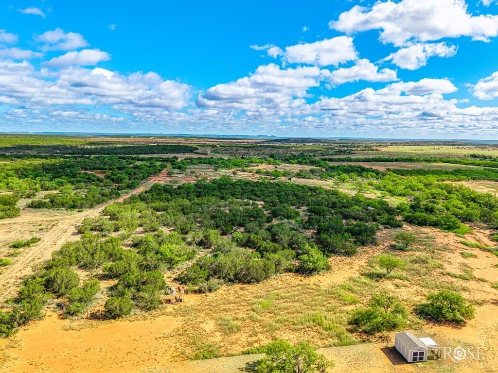 50.75 acres in Coke County - photo 39