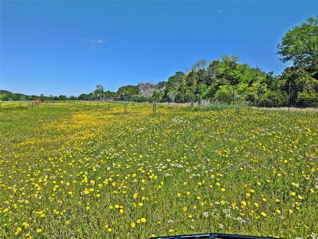 62.67 acres in Coryell County - photo 13