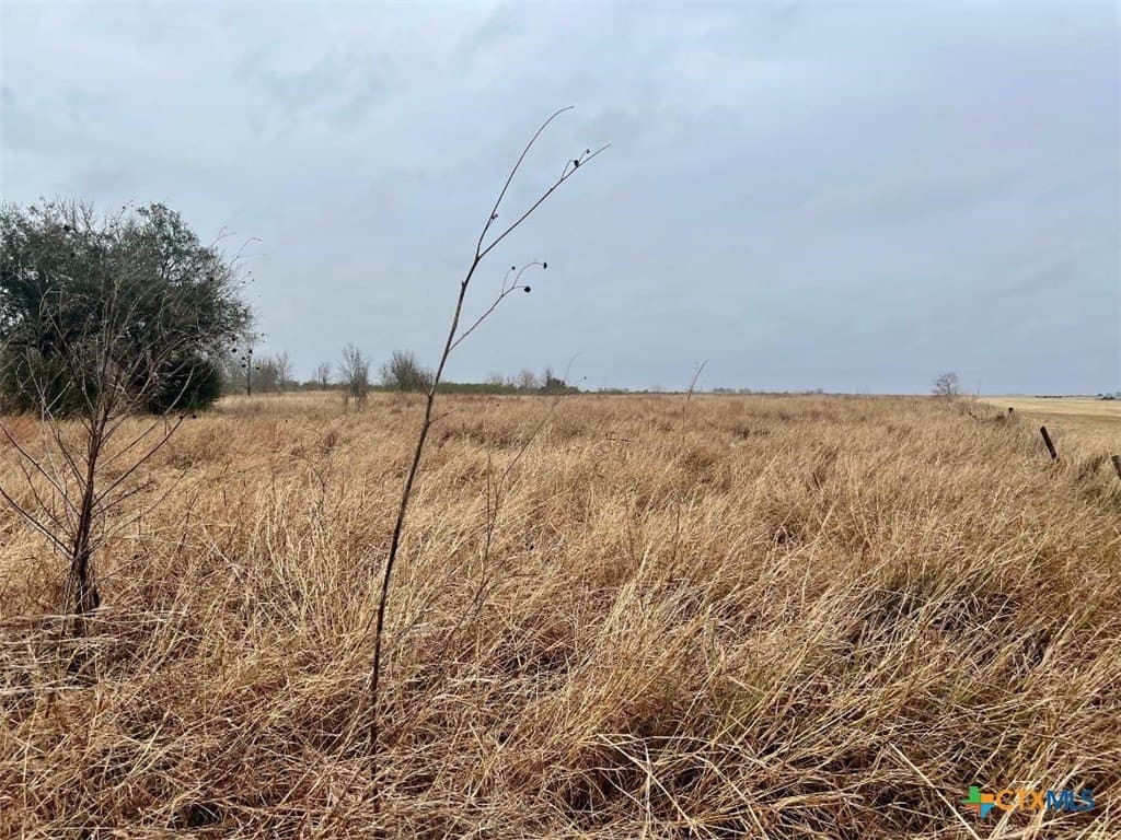8 acres in Jackson County - photo 3