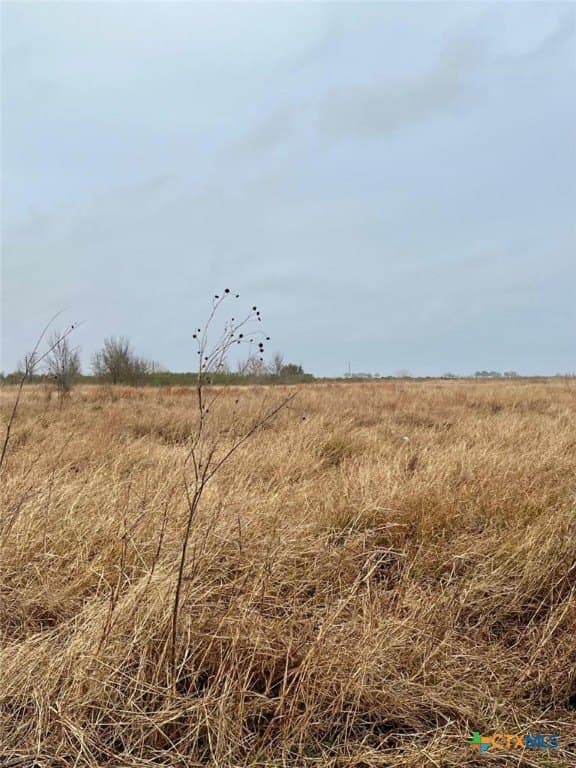 8 acres in Jackson County - photo 4