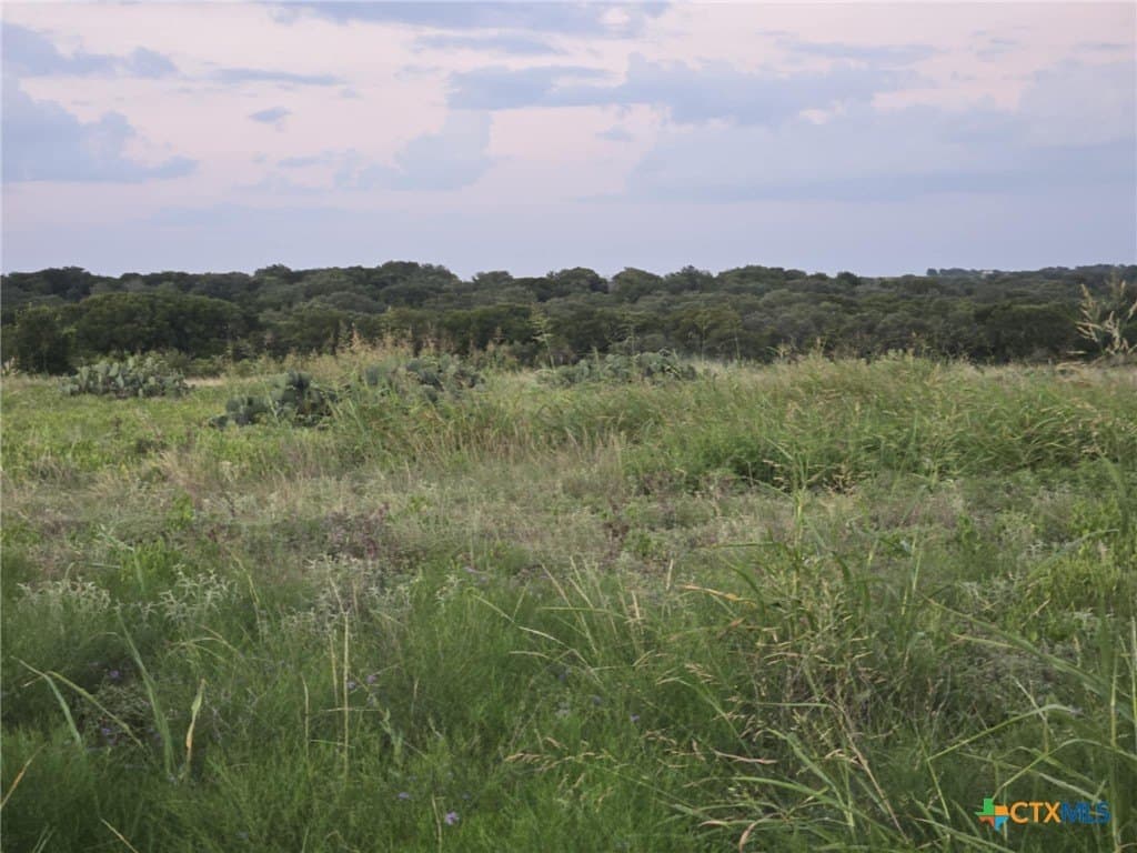 5.14 acres in Coryell County - photo 3