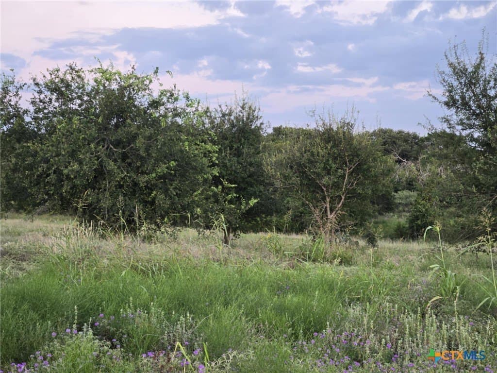 5.14 acres in Coryell County - photo 4