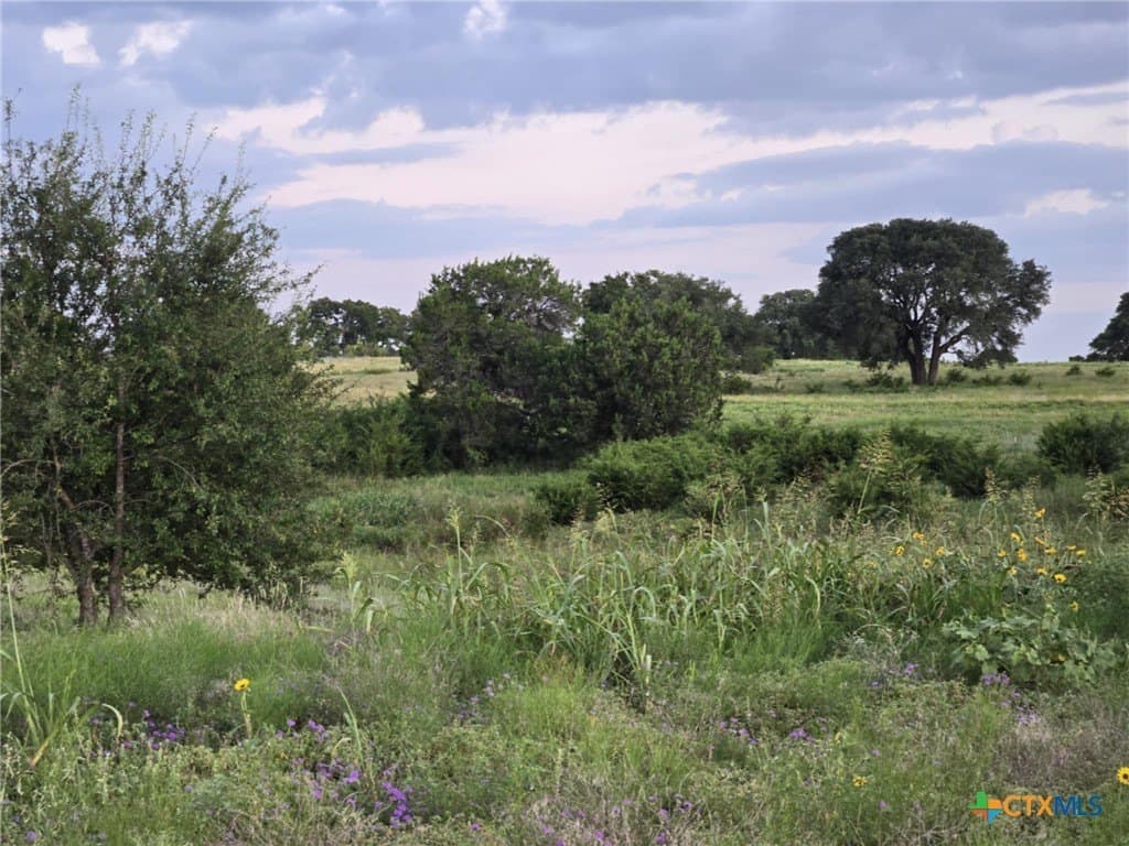 5.14 acres in Coryell County - photo 5