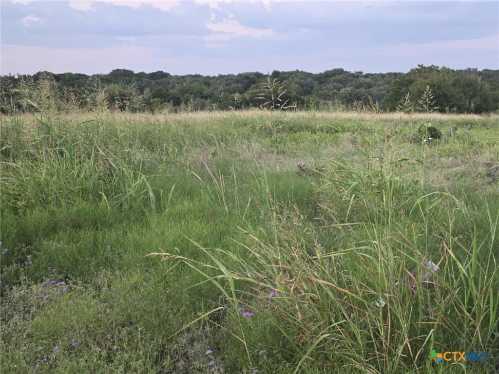 5.14 acres in Coryell County - photo 2