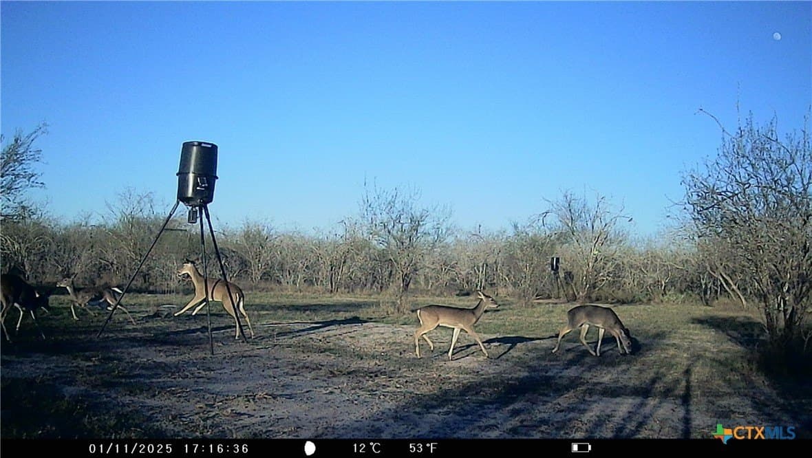 25 acres in Goliad County - photo 10