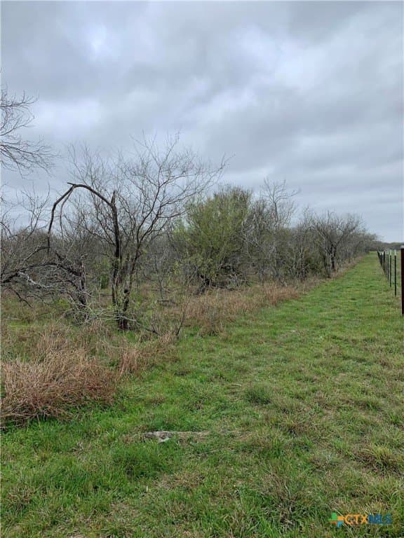 25 acres in Goliad County - photo 12