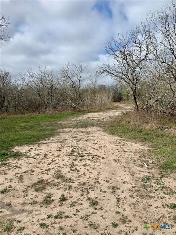 25 acres in Goliad County - photo 14