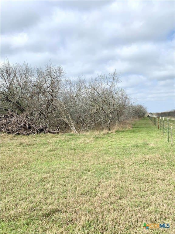 25 acres in Goliad County - photo 4