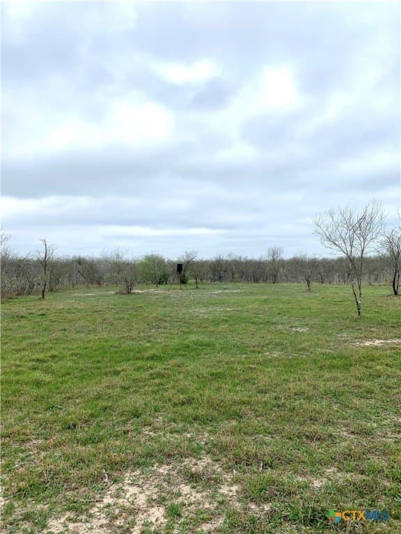 25 acres in Goliad County - photo 3