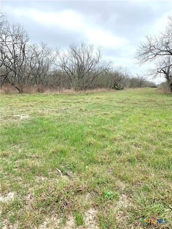 25 acres in Goliad County - photo 11